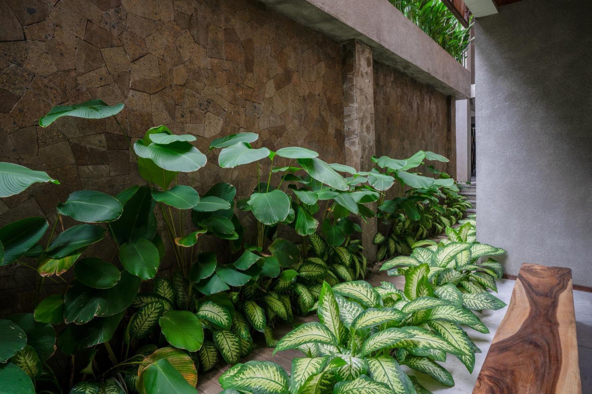 Kammora Living And Villas - Bali Invest Club Canggu Eksteriør billede